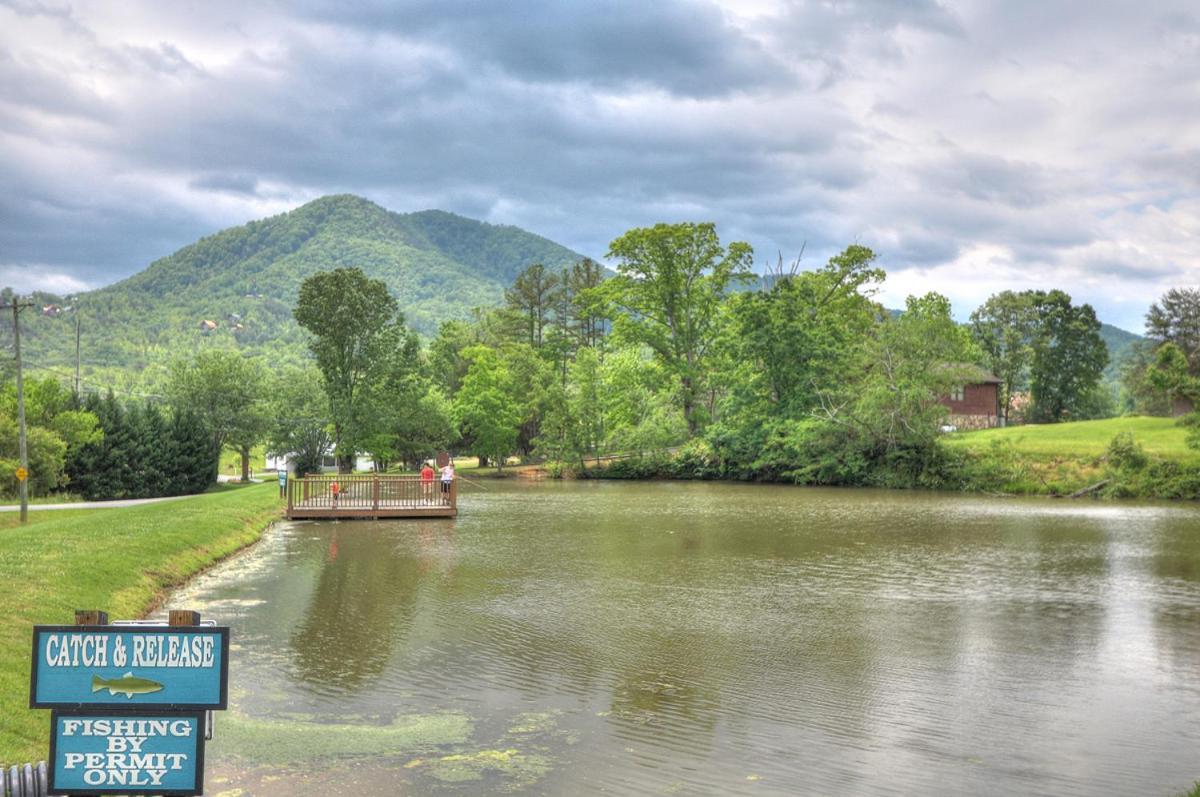 Bears Valley Inn - Great Location! - Peaceful, Children And Dog Friendly Retreat - Less Than 15 Min To All Attractions - Private Pool Club & Fishing Hole - Game Room With Tv Sevierville Eksteriør billede