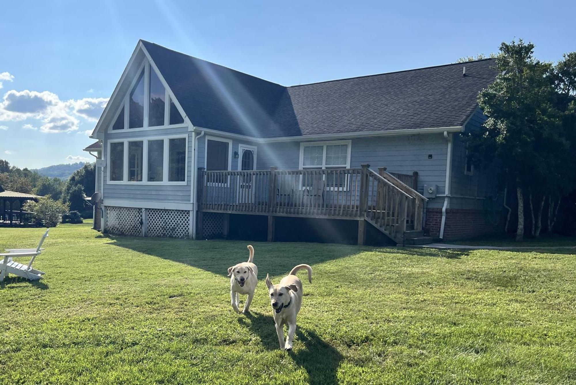 Bears Valley Inn - Great Location! - Peaceful, Children And Dog Friendly Retreat - Less Than 15 Min To All Attractions - Private Pool Club & Fishing Hole - Game Room With Tv Sevierville Eksteriør billede